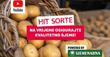 Krumpir u vrećici s oznakom 'Hit sorte' i logom Sjemenarne
