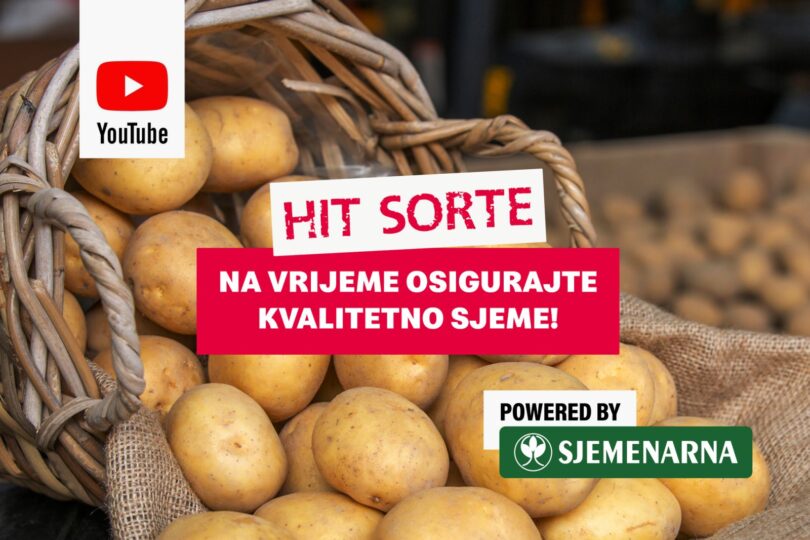 Krumpir u vrećici s oznakom 'Hit sorte' i logom Sjemenarne