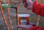 Ruka drži posudu kalemotskog voska pored grane sa crvenim marama