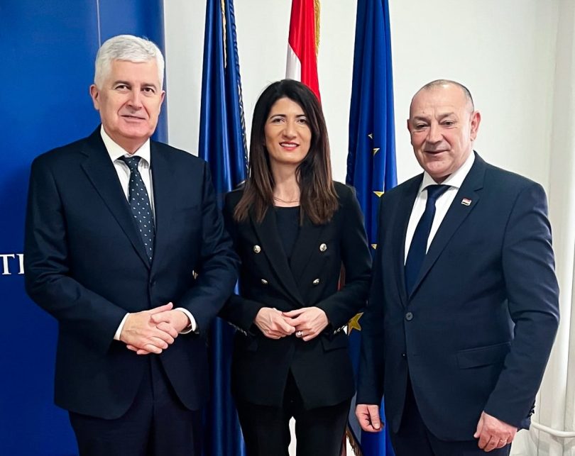 Covic Filipovic Medved