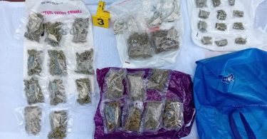 sarajevo autom na prosvjednike 2