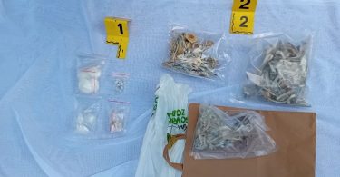 sarajevo autom na prosvjednike 3