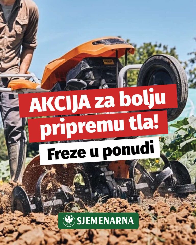 viber slika 2026 02 20 09 56 21 981 768x960 1
