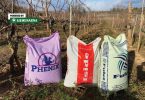Tri vrećice gnojiva za vinogradarstvo postavljene među vinovim trsovima u vinogradu