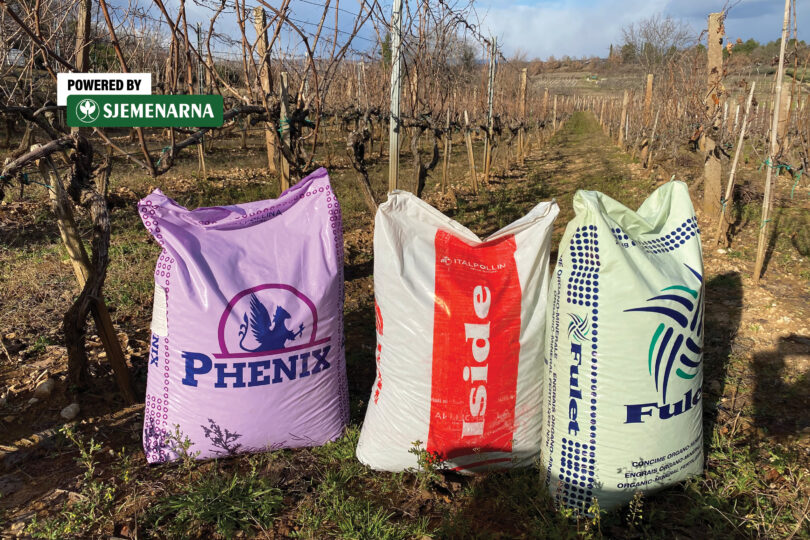 Tri vrećice gnojiva za vinogradarstvo postavljene među vinovim trsovima u vinogradu