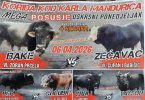 Plakat koride s dvama bikovima Bake i Zečavac zakazane za 04.04.2028.