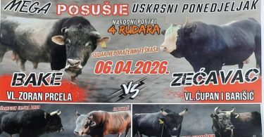 Plakat koride s dvama bikovima Bake i Zečavac zakazane za 04.04.2028.