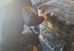 Zaplijenjena roba zapakirana u plastici, odložena pored kamiona tijekom akcije carinske kontrole