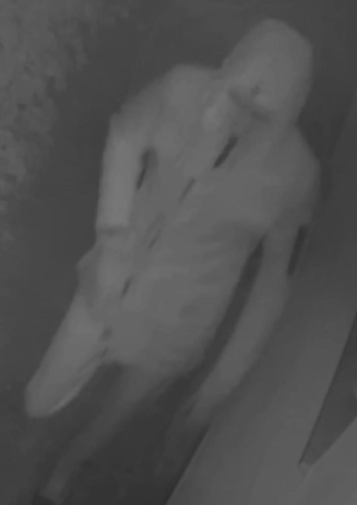 de0c3ed8 fff1 45ea b4b5 48e0cf089a04