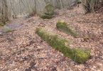 Moss-covered medieval tombstones (stećci) scattered on forest floor with fallen leaves
