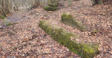 Moss-covered medieval tombstones (stećci) scattered on forest floor with fallen leaves