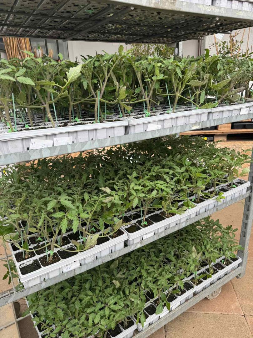 viber slika 2026 03 30 14 53 18 772