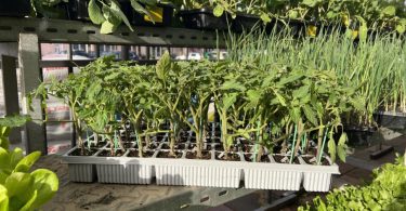 viber slika 2026 03 30 14 53 23 055