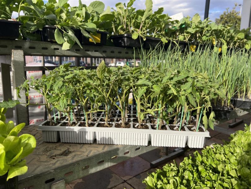 viber slika 2026 03 30 14 53 23 055