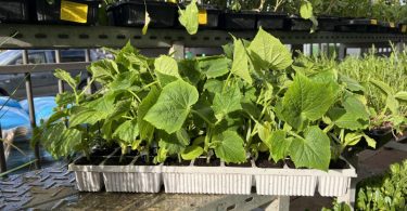 viber slika 2026 03 30 14 53 23 274