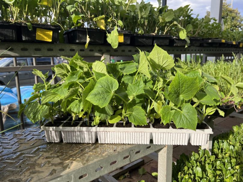 viber slika 2026 03 30 14 53 23 274