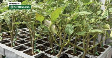 viber slika 2026 03 30 15 03 33 237 810x540 1