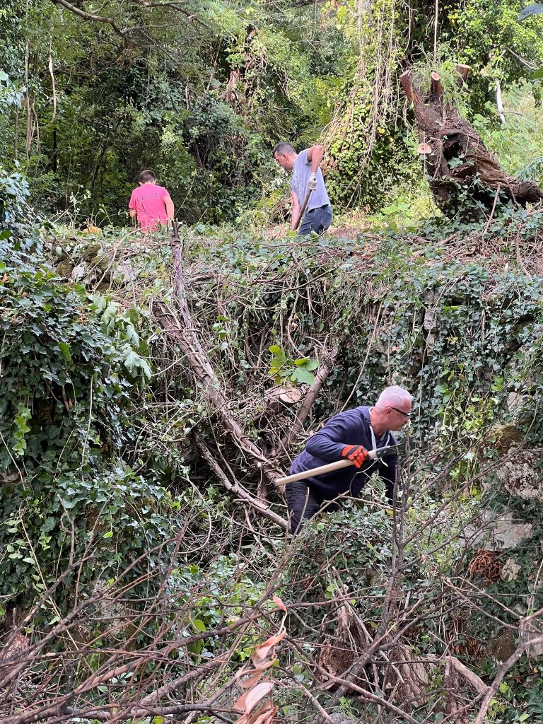 10144cf0 65e7 4ce0 b78e 2c768466dd10