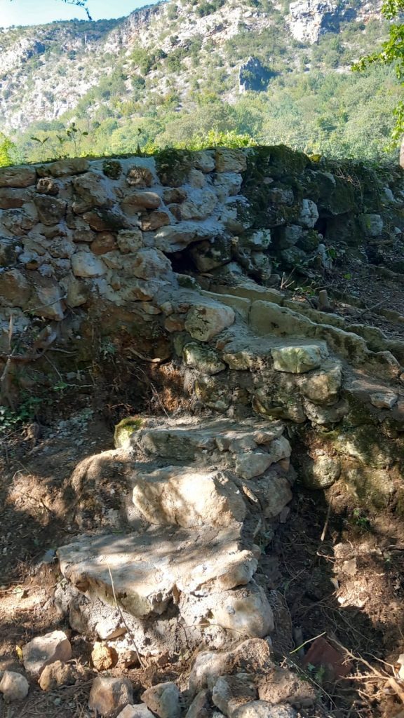 371311d1 d62b 4507 a21c 2b5b8ae37af0