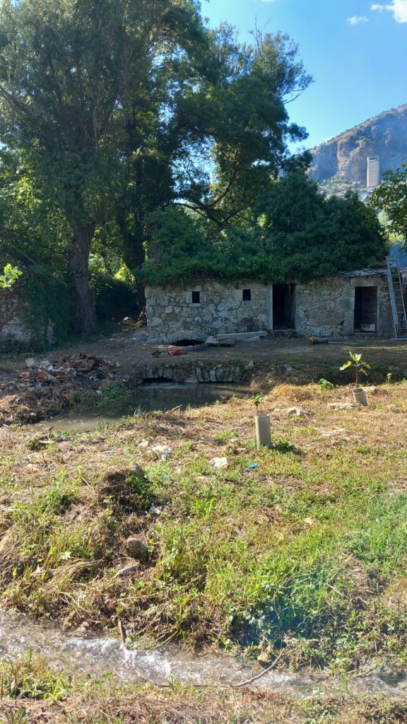 6e74c212 f862 4ca3 b501 642d0f556ba2