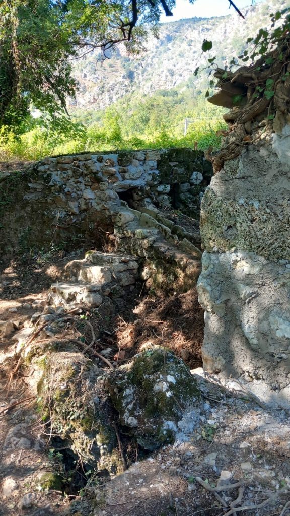 710ad0a0 e887 4482 92d9 9f00c84cd0ac