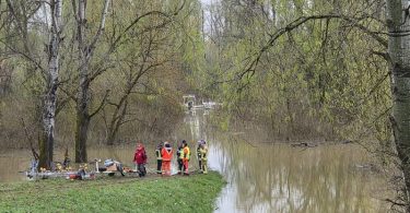 8c2de70f 9343 4ab9 b2ab fa913694a333