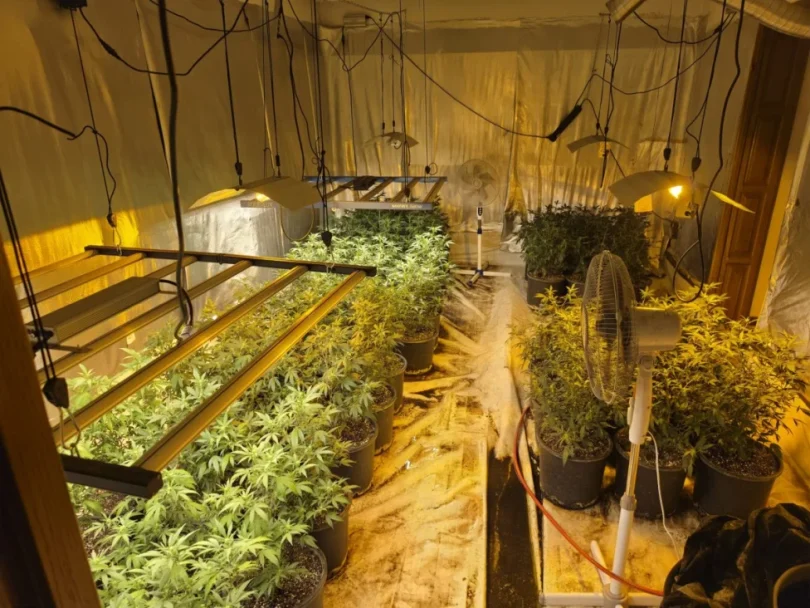 akcija aries marihuana kanabis 27apr26 mupks3