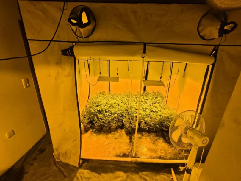 akcija aries marihuana kanabis 27apr26 mupks5