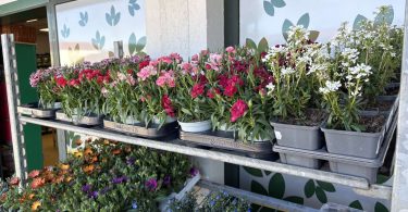 viber slika 2026 03 30 09 24 25 374