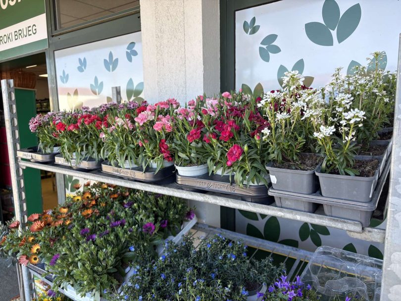 viber slika 2026 03 30 09 24 25 374