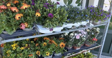 viber slika 2026 03 30 09 24 37 606