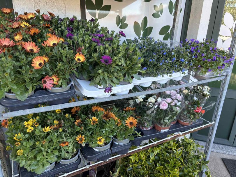 viber slika 2026 03 30 09 24 37 606