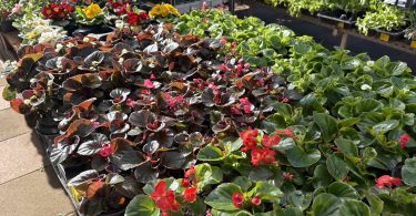 viber slika 2026 03 30 09 24 37 807