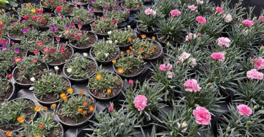 viber slika 2026 03 30 09 24 38 012