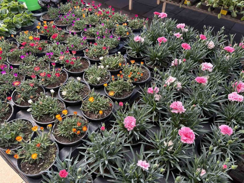 viber slika 2026 03 30 09 24 38 012