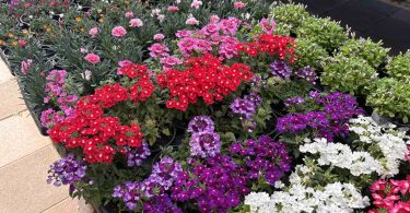 viber slika 2026 03 30 09 24 38 225