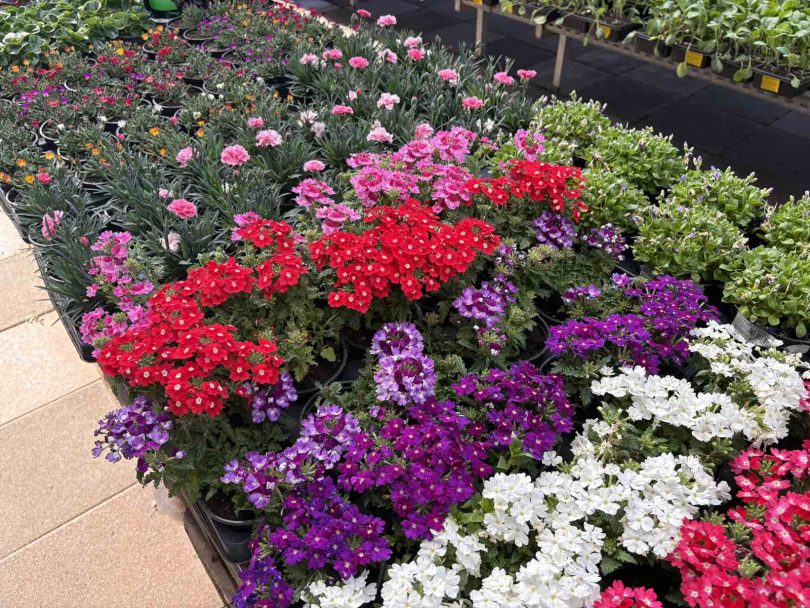 viber slika 2026 03 30 09 24 38 225