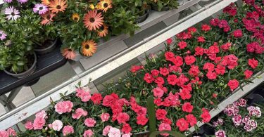 viber slika 2026 03 30 09 24 38 700