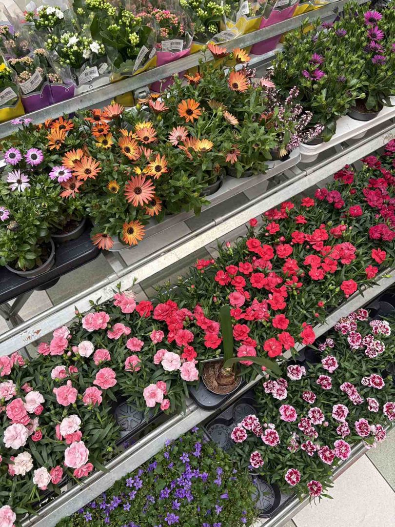 viber slika 2026 03 30 09 24 38 700