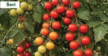 viber slika 2026 04 01 13 56 32 402