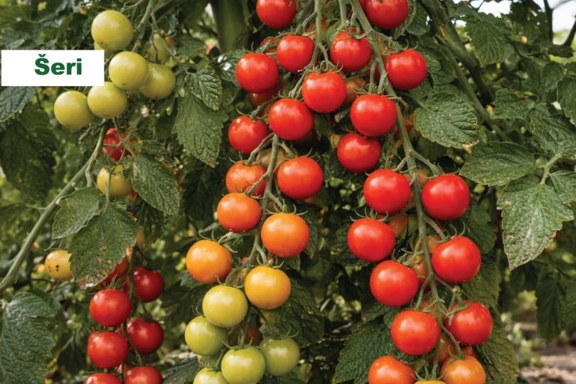 viber slika 2026 04 01 13 56 32 402