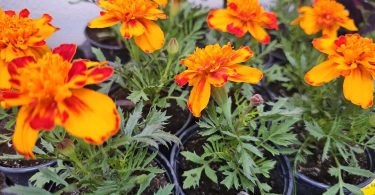 viber slika 2026 04 16 22 14 06 073