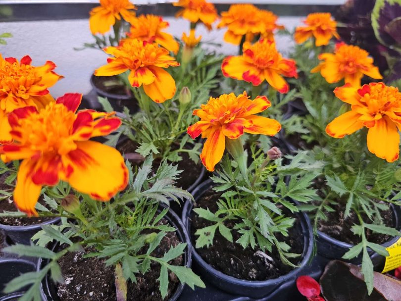 viber slika 2026 04 16 22 14 06 073