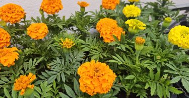 viber slika 2026 04 16 22 14 12 978