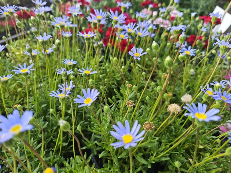 viber slika 2026 04 16 22 14 13 620