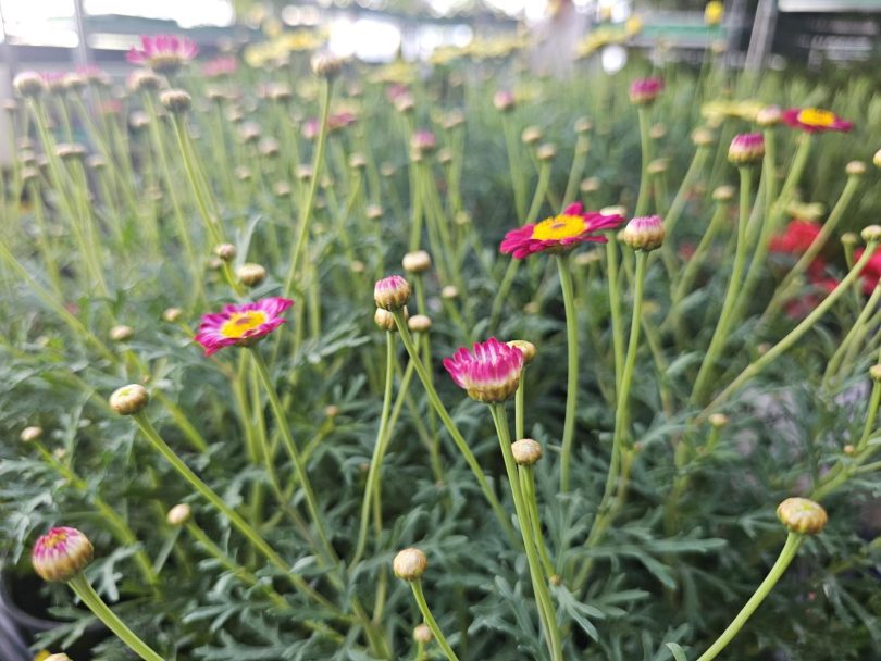 viber slika 2026 04 16 22 14 13 895