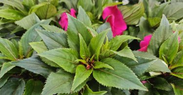 viber slika 2026 04 16 22 14 14 069