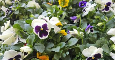 viber slika 2026 04 16 22 14 14 312