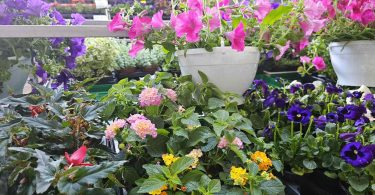 viber slika 2026 04 16 22 14 14 492