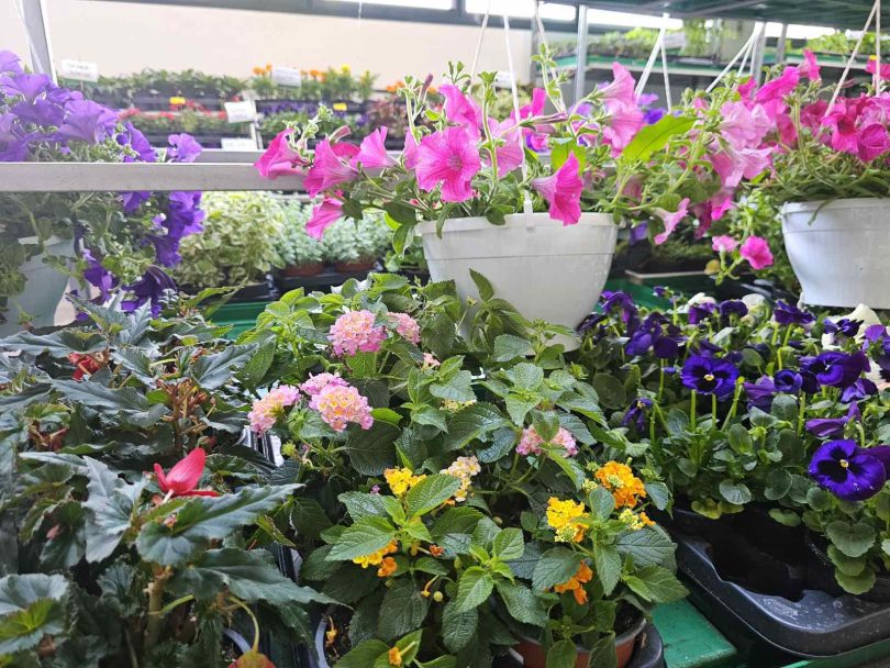 viber slika 2026 04 16 22 14 14 492